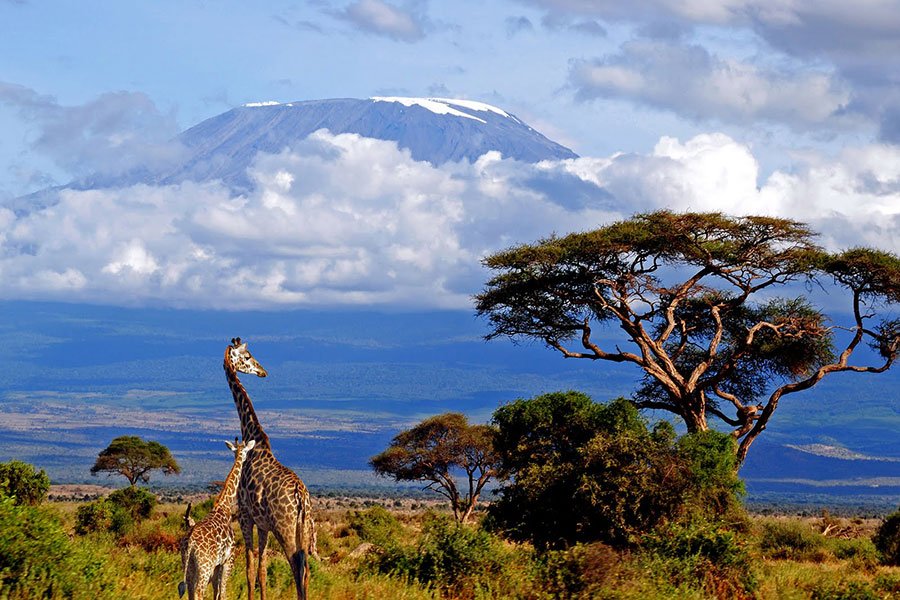 Where Is Mount Kilimanjaro?