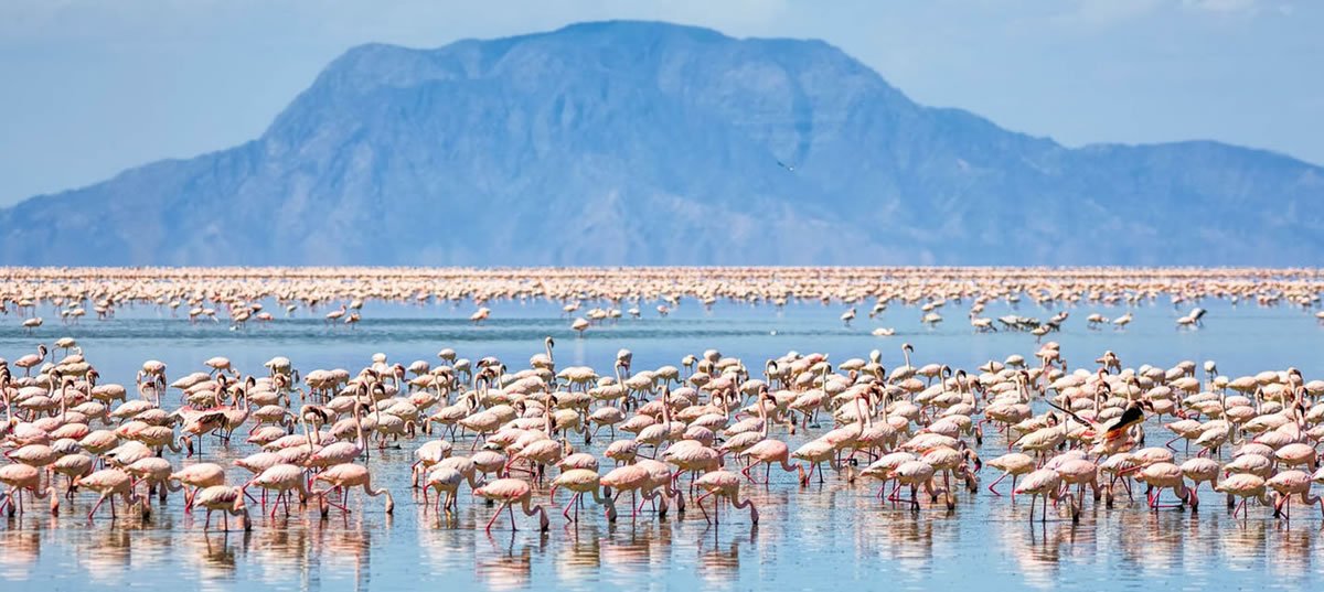 Natron Lake Tanzania